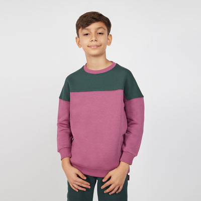 Boy's Purple Color Block Knit Sweatshirt