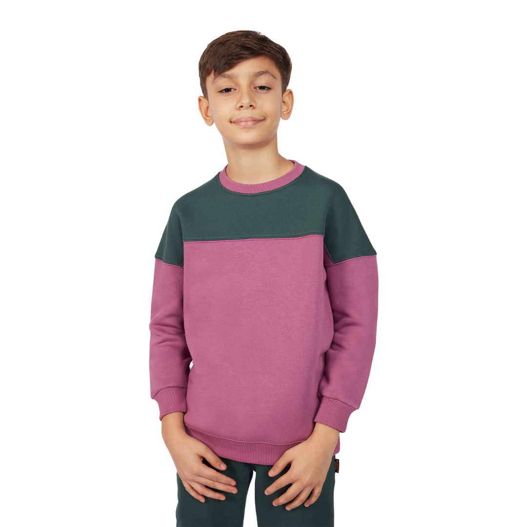 Boy's Purple Color Block Knit Sweatshirt