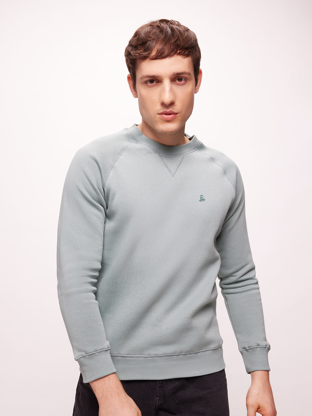 Men's Sage Green Knit Regular Fit Solid Sweatshirt